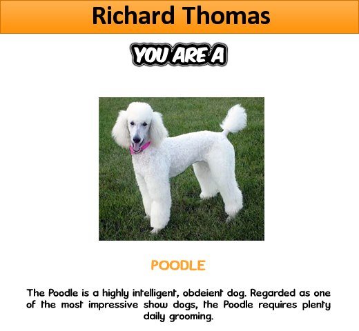 Richard Thomas' album, What Dog Are You? Photos
