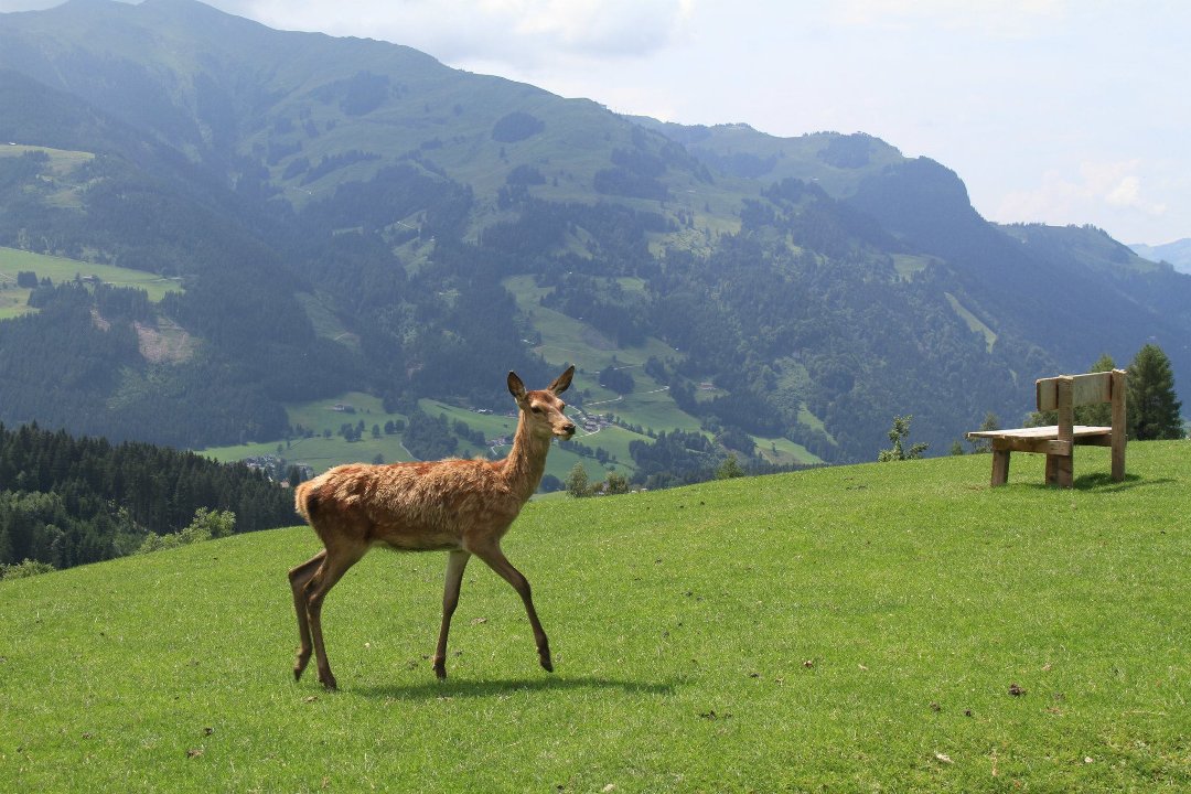 Ben Moglen's album, Europe 2012