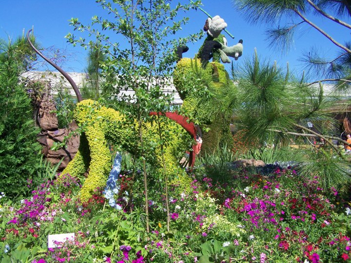 Peter Ticknor's album, Flower show at Epcot