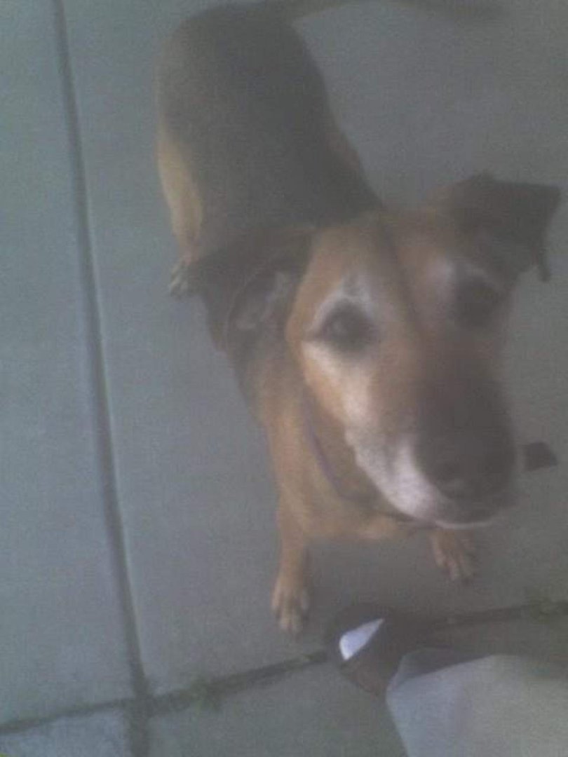 Jay Morford's album, Sadie Ladie, The Original "Roo" 1995 - 2011
