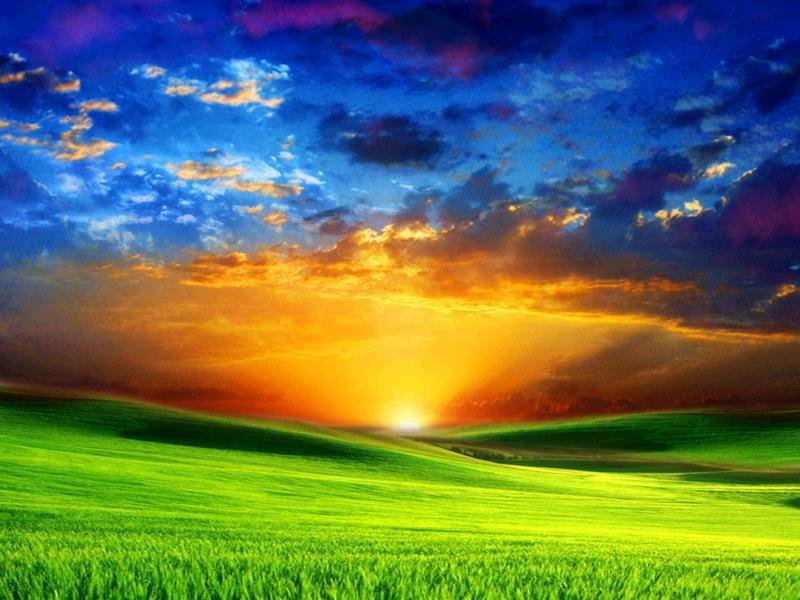 Susan Duncan's album, Cover Photos