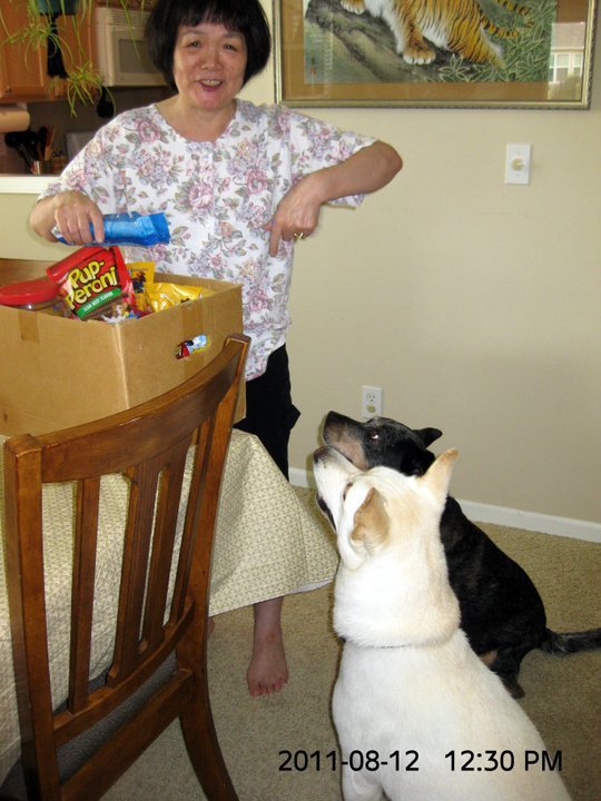 Steve Shaw's album, August 12, 2011 Chevy and Bella Spend the Weekend
