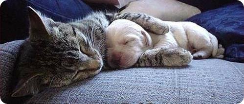 David Nelson's album, Timeline Photos