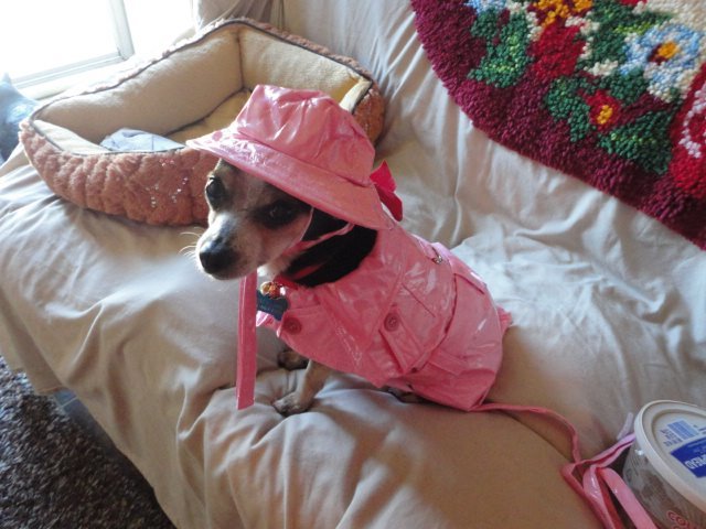 Donna Smith/Musselman's album, Timeline Photos