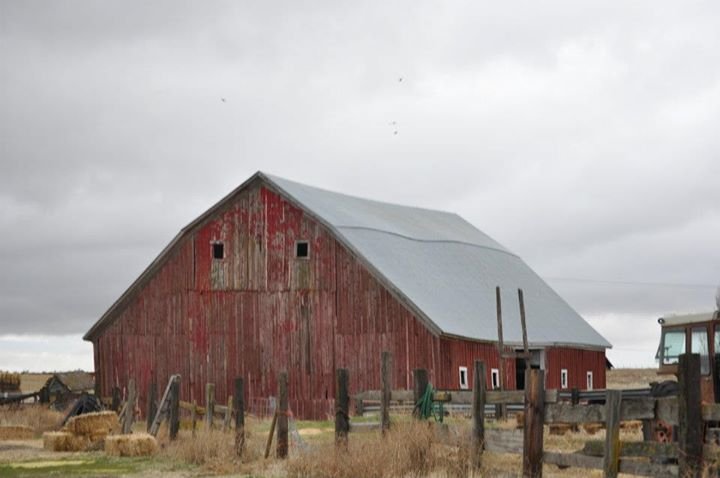 Diane Gieler (Larsen)'s album, November 13, 2011