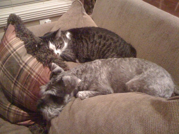 Peggy Jurgens' album, Mobile Uploads