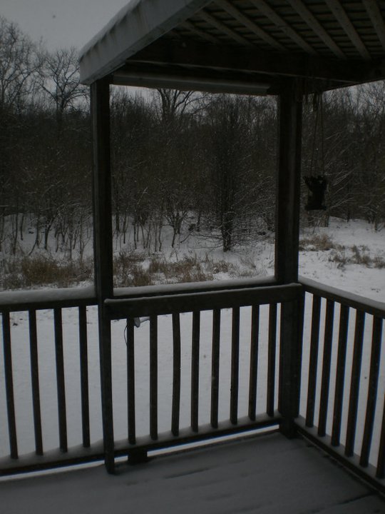 Steven Sudduth's album, December 25, 2010