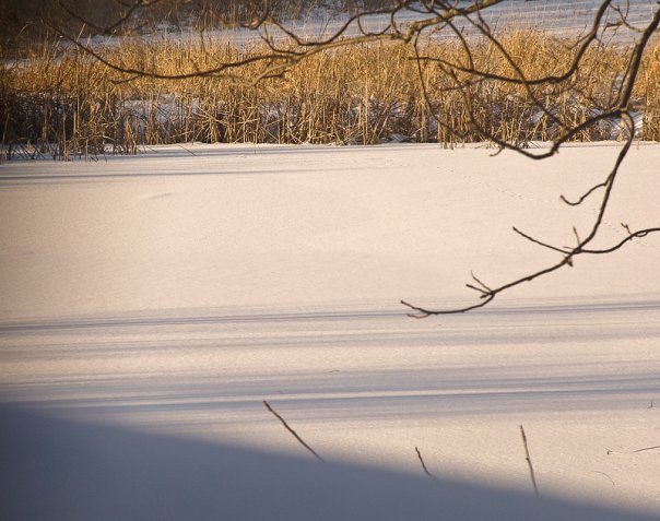 Beth Bailey's album, Winter in Northern Mid-Michigan