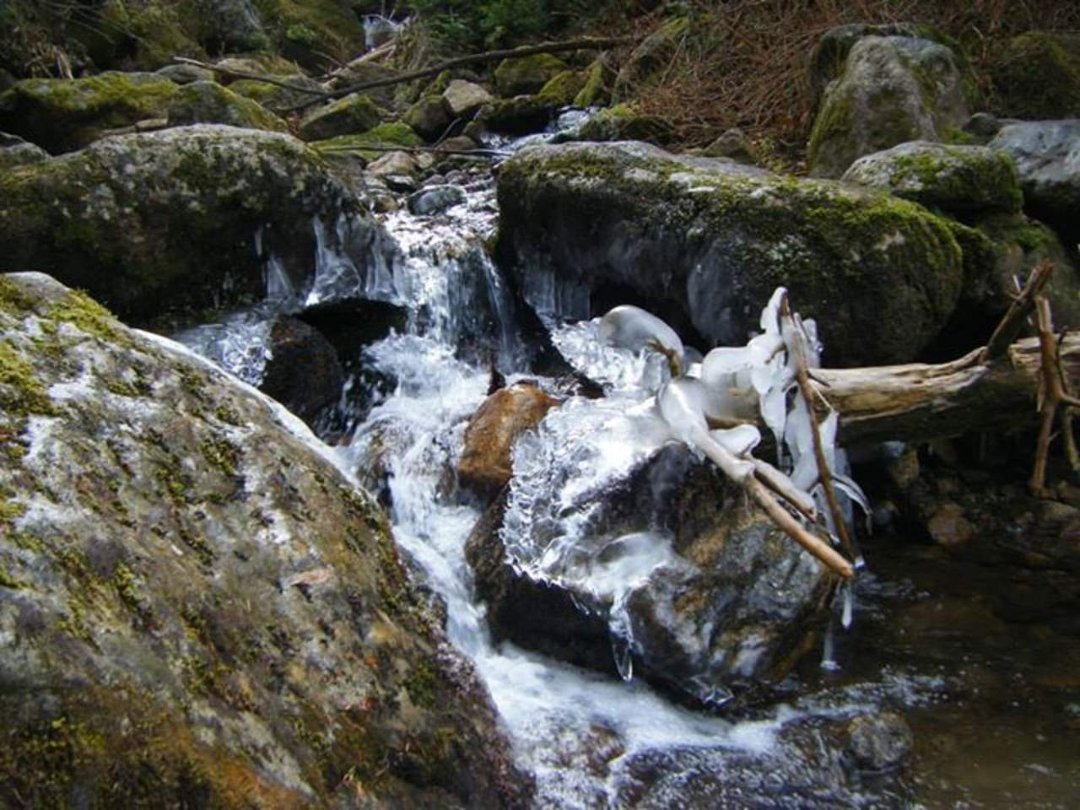 Timothy Brown's album, Mt. Monroe Hike