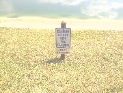daniel Hargis' album, Cover Photos