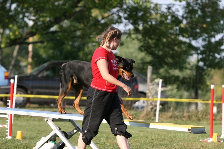 Heather Cotterman's album, In Memory of Woody "Buckeye's Bounding Glory
