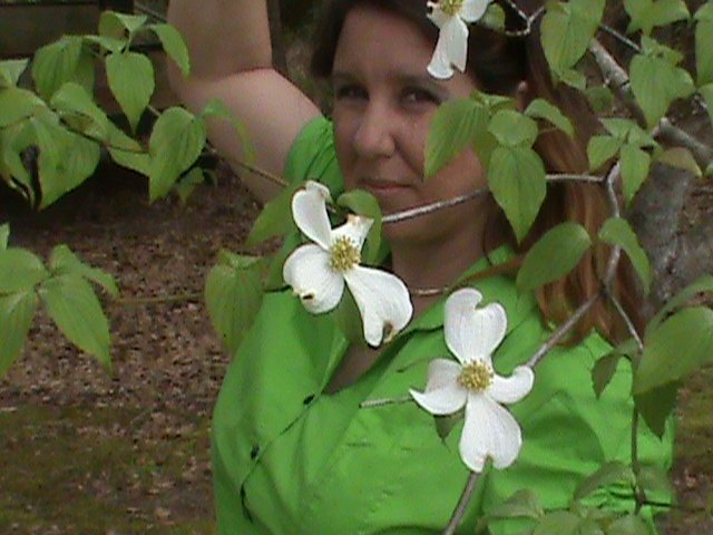 Wynette Sullivan's album, Profile Pictures
