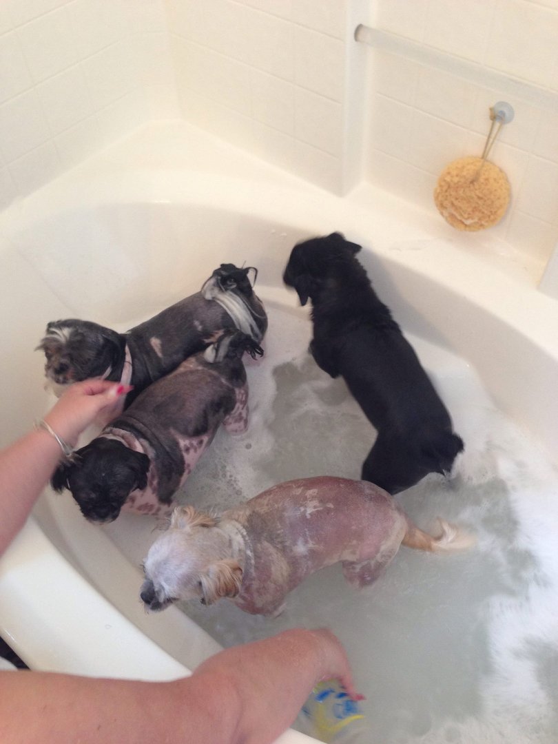 Kathie Derring's album, iOS Photos
