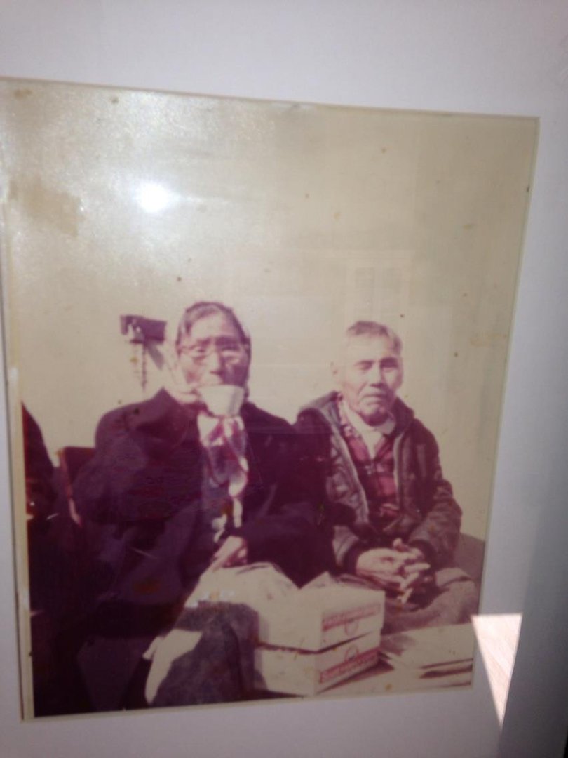 Barbara Shepherd's album, iOS Photos