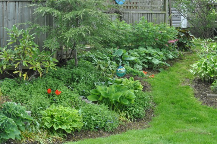 John Mahtab's album, Garden June, 2011