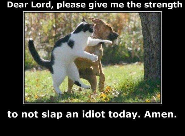 Robert Fowler's album, Timeline Photos