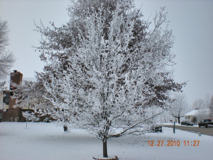 Stephen Hager's album, February 2, 2011