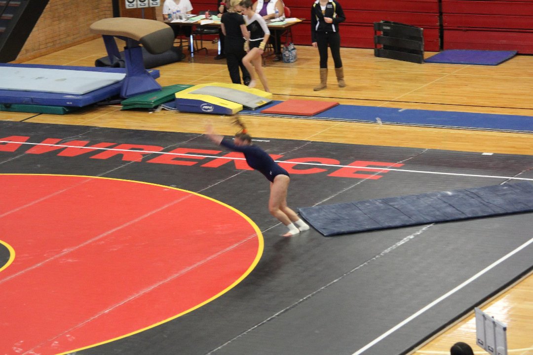 Mike Mann's album, State Gymnastics