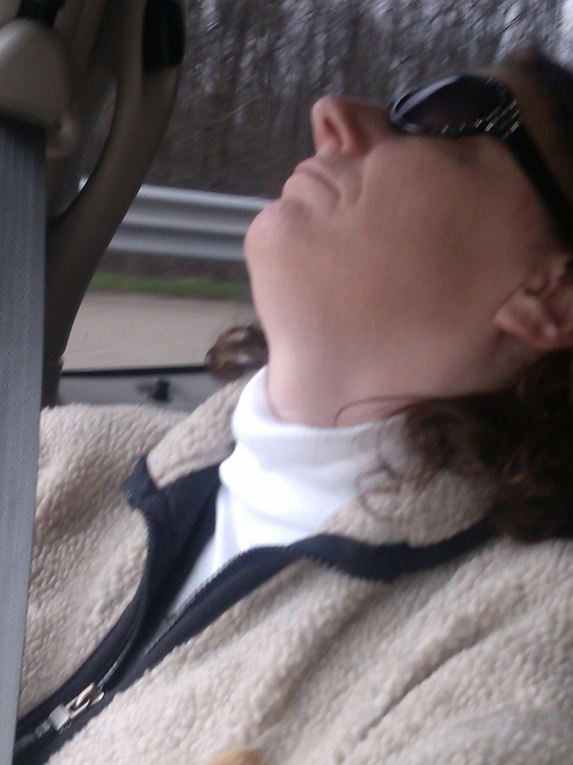 Gerry Gardner's album, Mobile Uploads