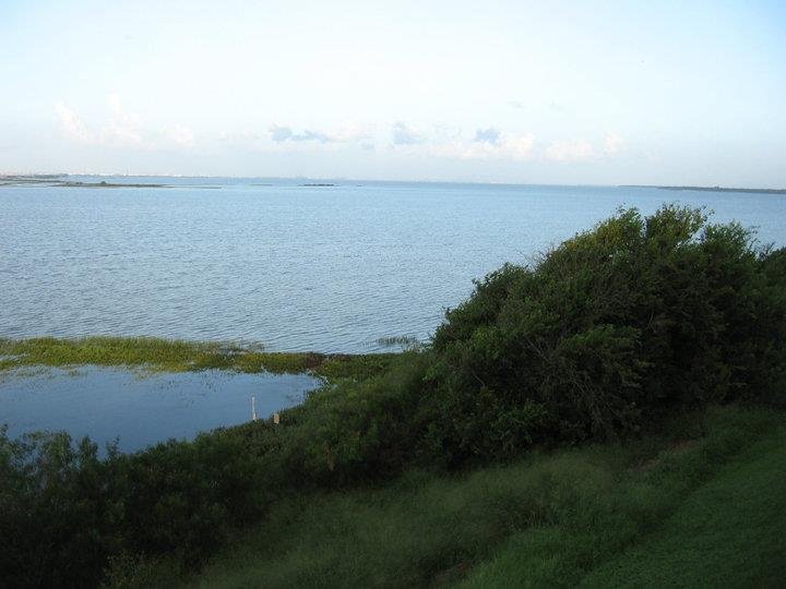 Robert Oman's album, view from back right after alex