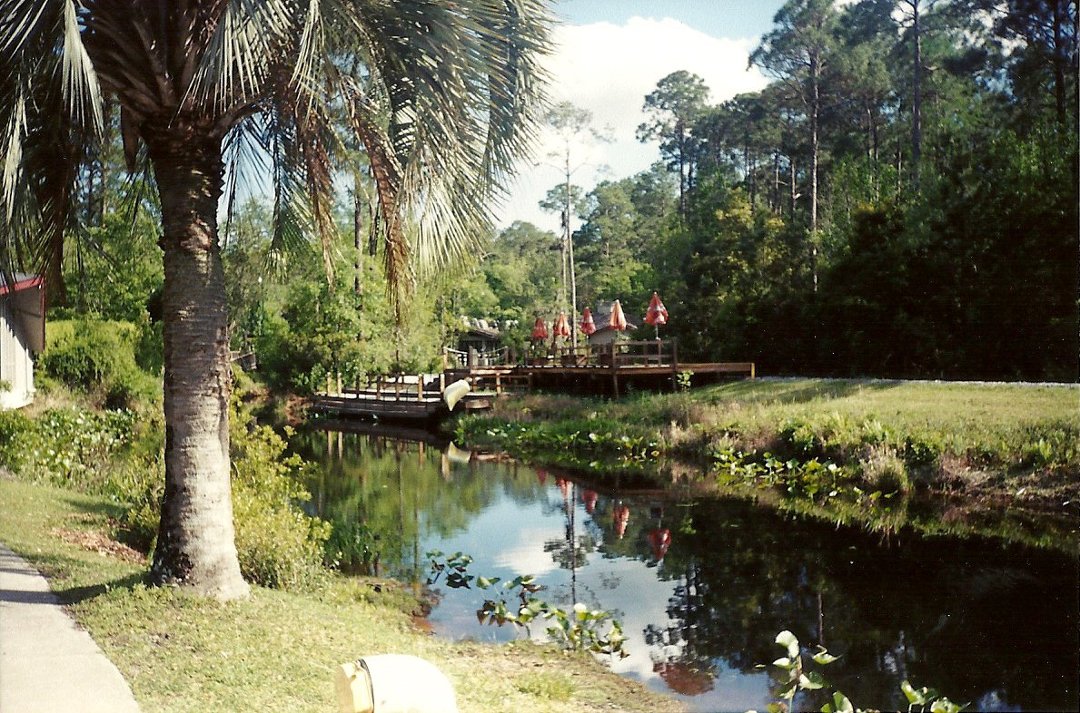 Karla Denney's album, Okefenokee Swamp 2000