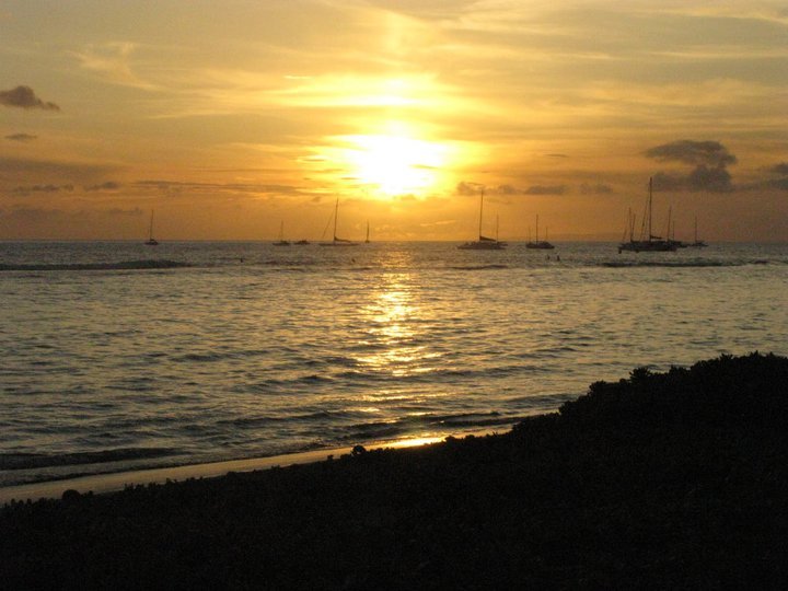 Roger Lander's album, Hawaii 2011