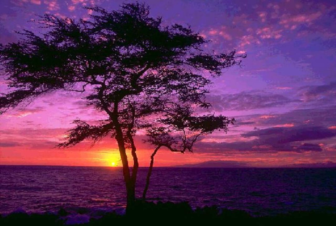 Donna Smith's album, Cover Photos