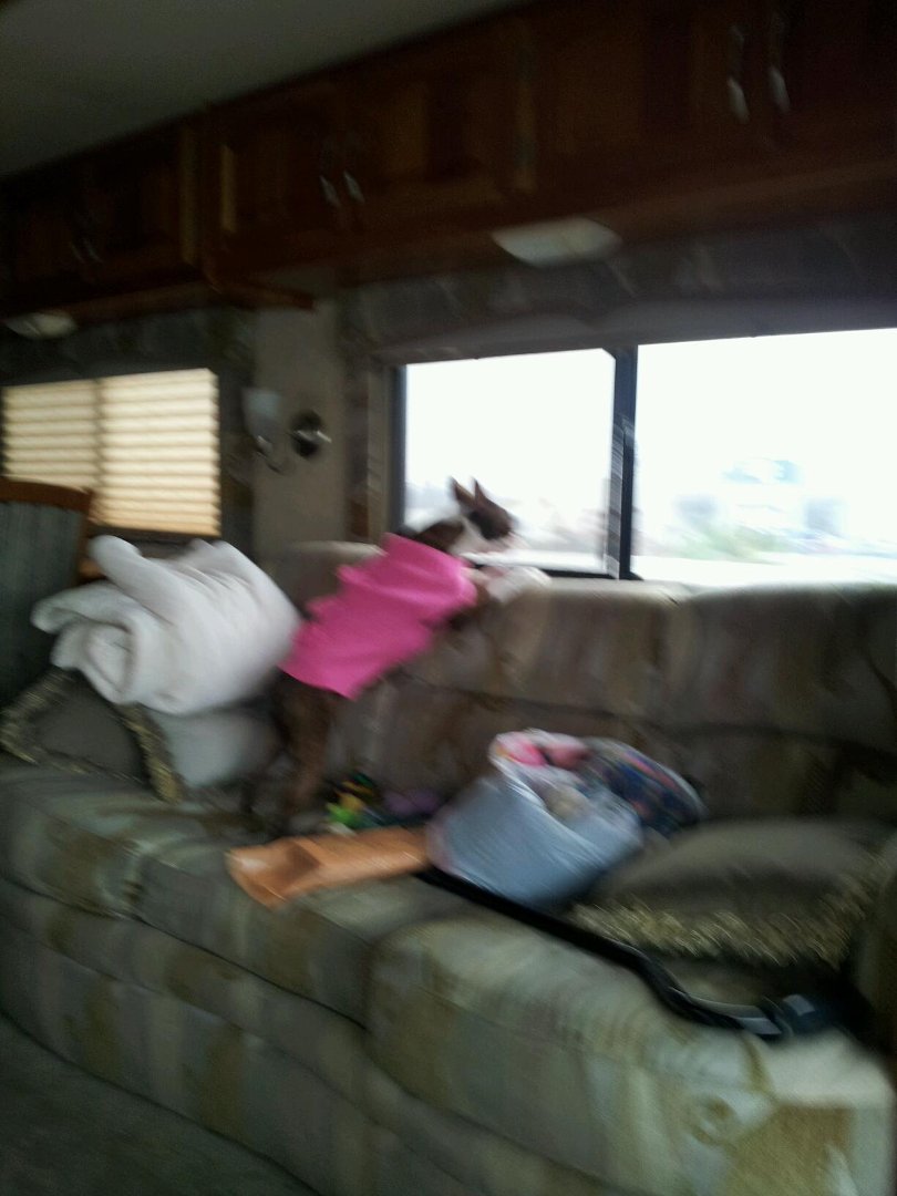 Paulette Parsons' album, Mobile Uploads