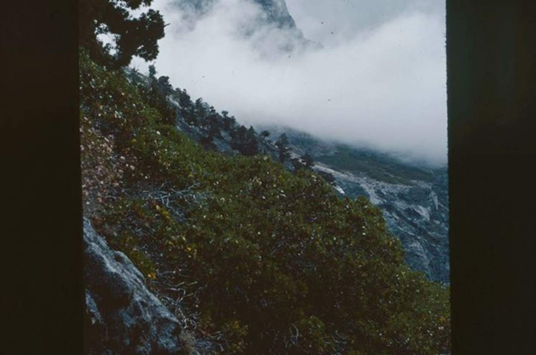 Daryl Strandlien's album, Backpacking