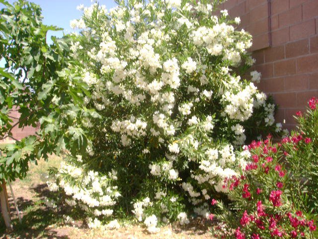 Beverly Lumm's album, Timeline Photos