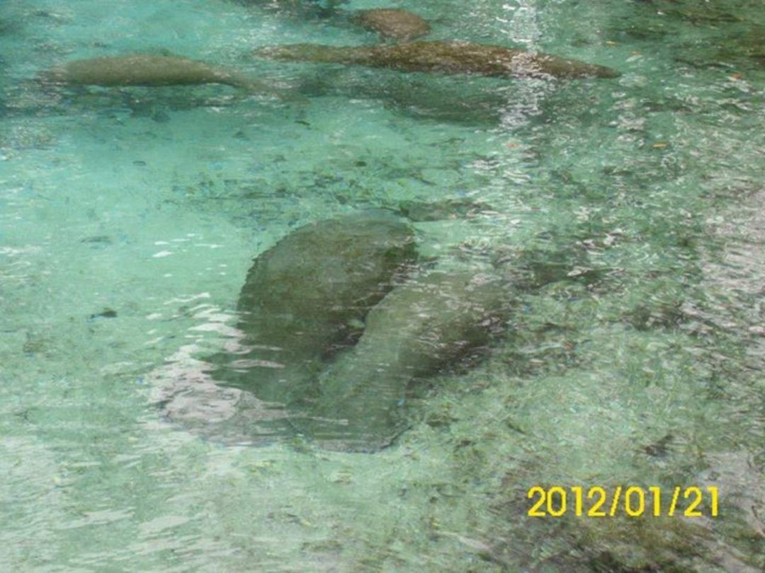 Daniel Berry's album, Three Sisters Springs
