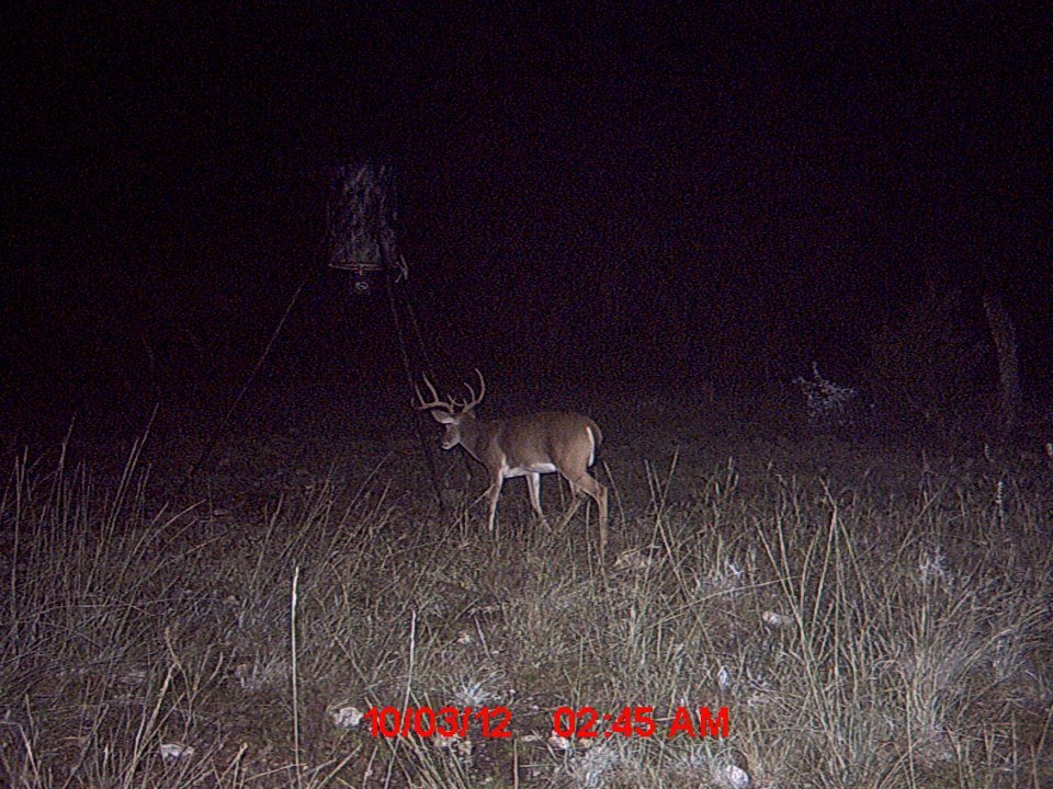 Daniel Ridner's album, Untitled Album