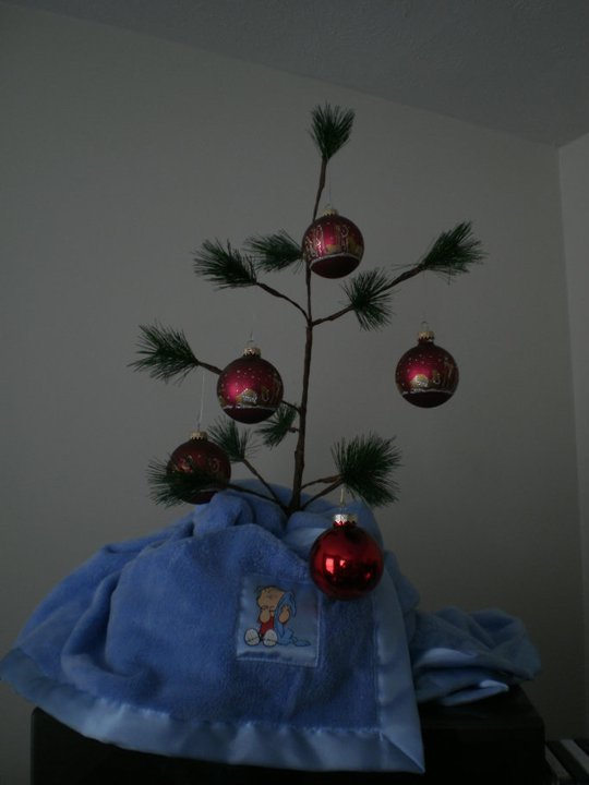 Steven Sudduth's album, December 25, 2010