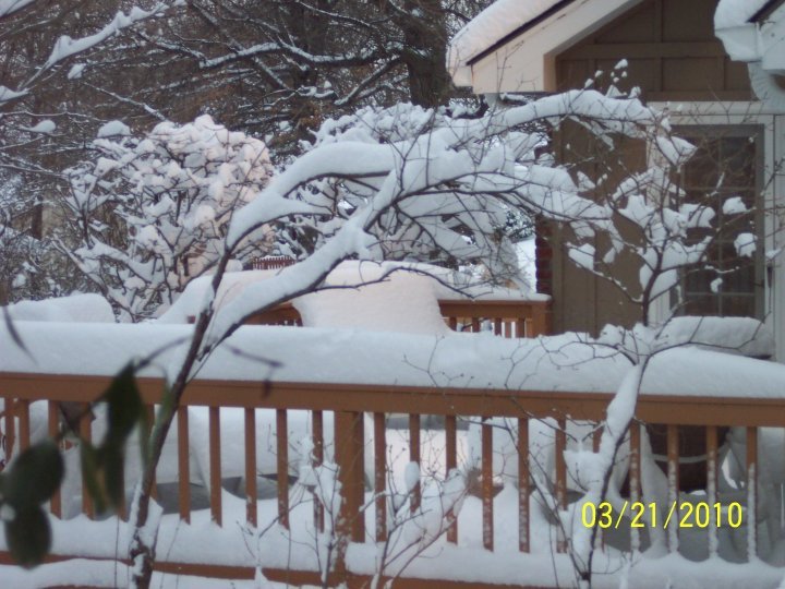 Pam Tenney Mills' album, Timeline Photos