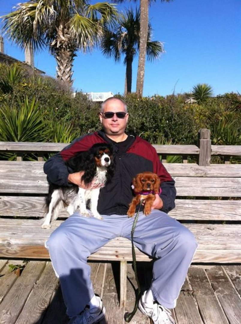 Lisa Hughes' album, Mobile Uploads