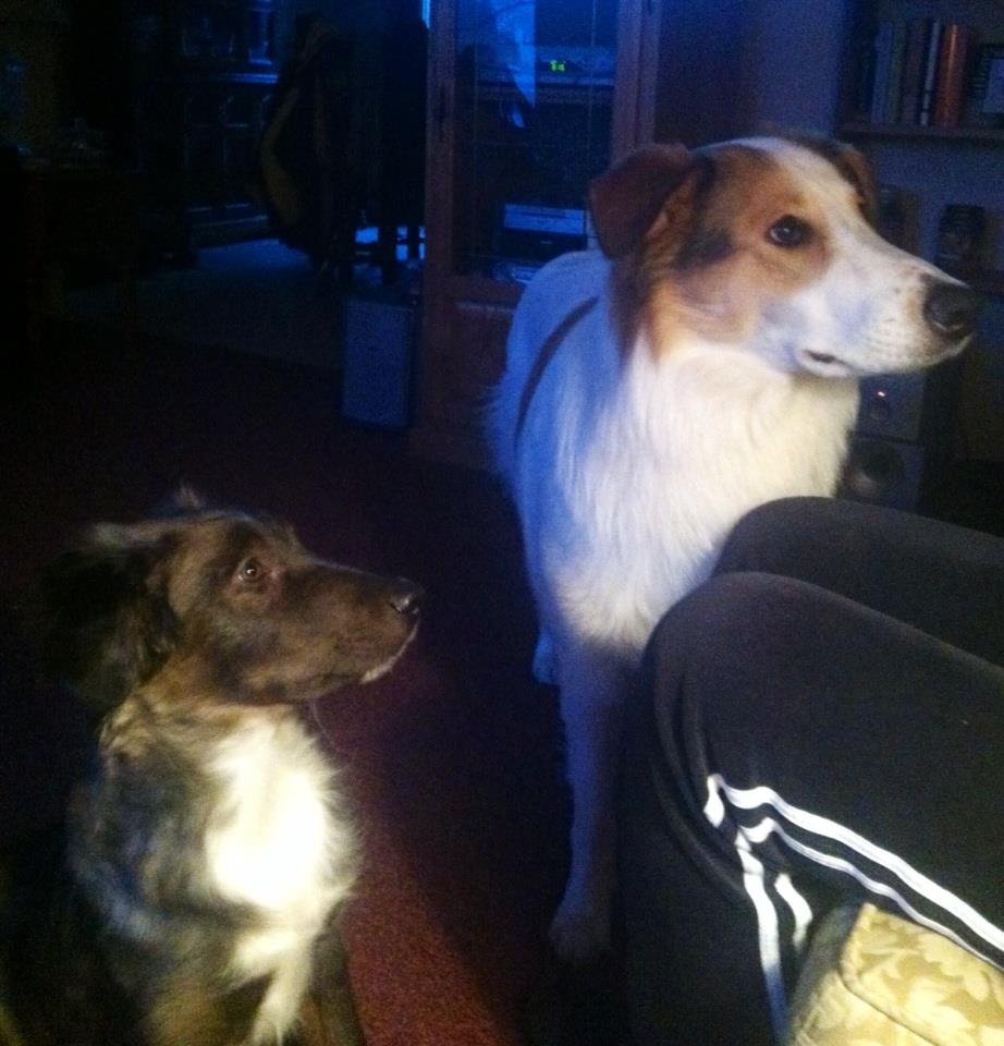 Tim Lamont's album, iOS Photos