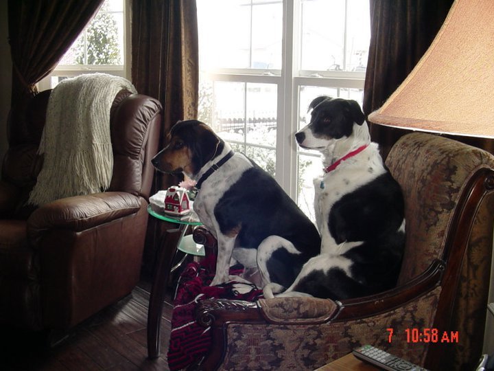Clair Ambrose's album, Cover Photos