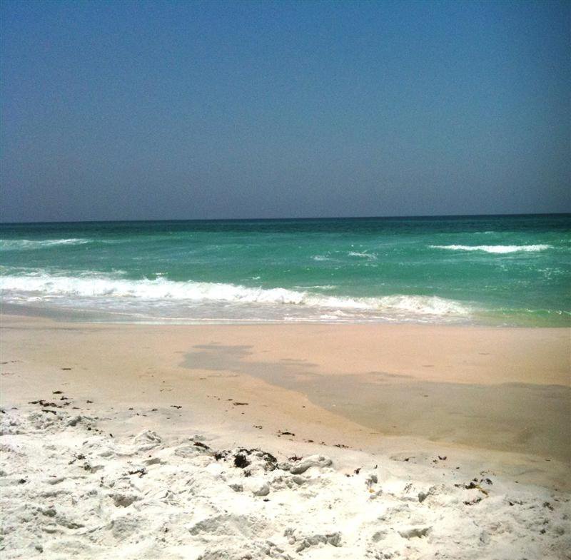 Ann Hammonds' album, Ann and Susan's Beach Vacation