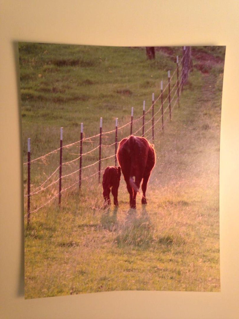 Sandra Ruther's album, iOS Photos