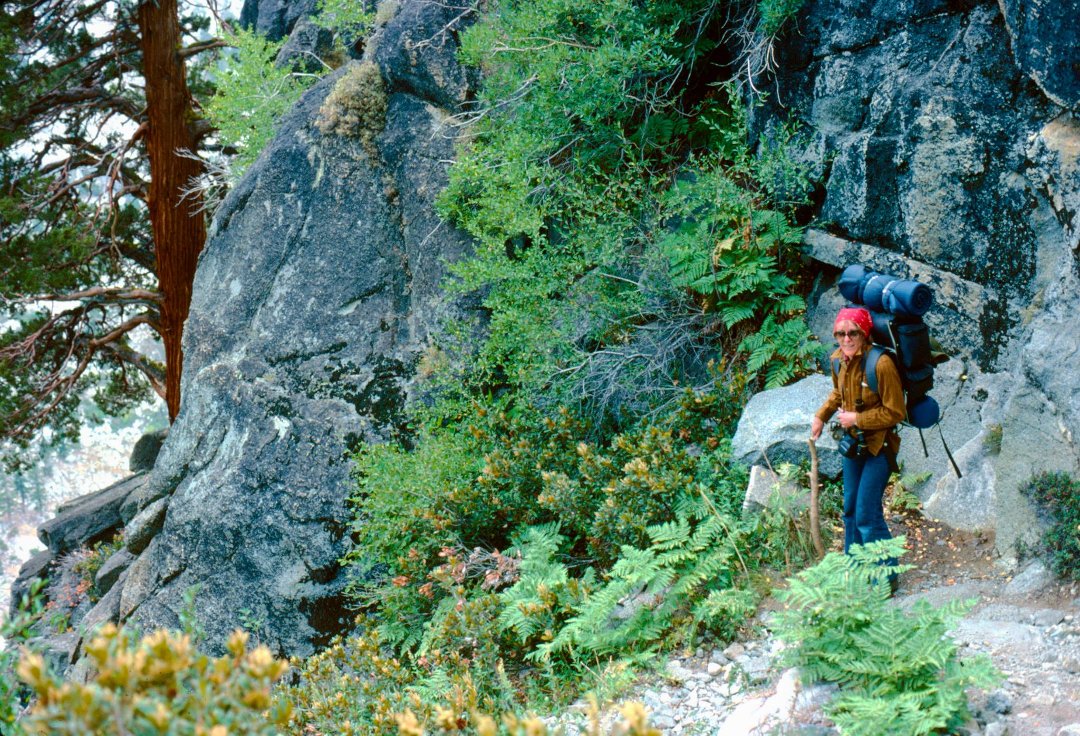 Daryl Strandlien's album, Backpacking