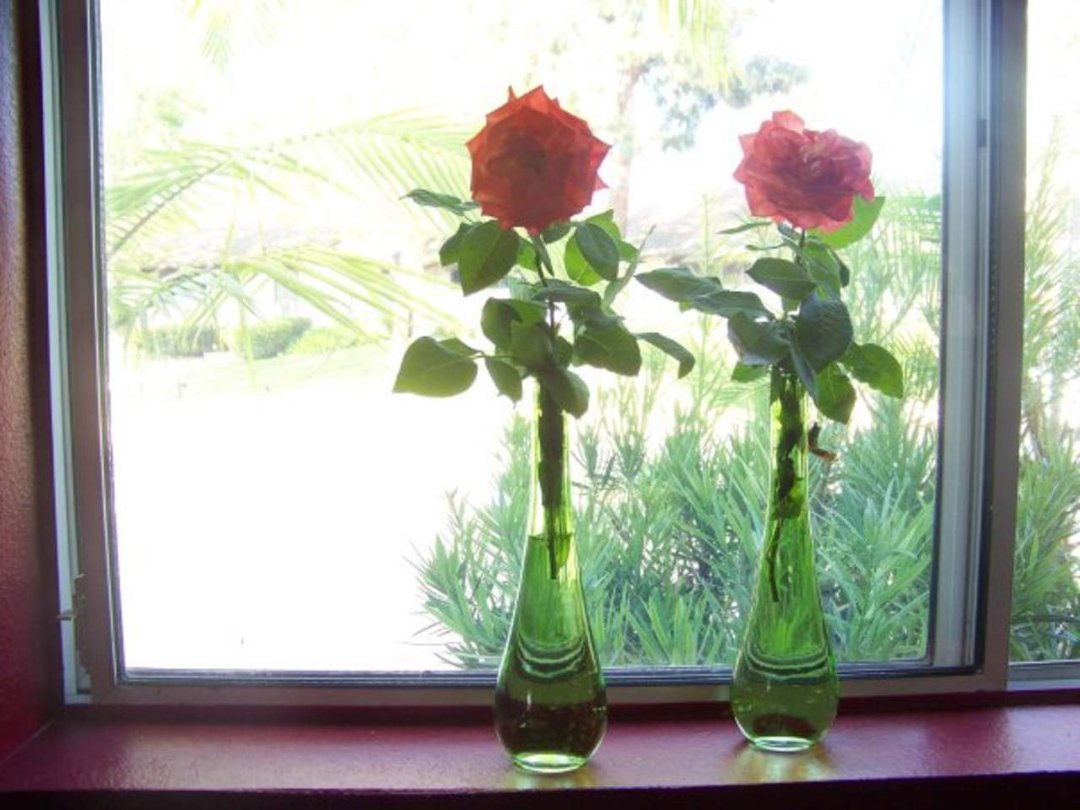 Robert de Almeida's album, DESIGN IDEAS FOR INEXPENSIVE MAKEOVERS