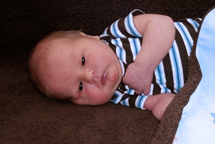 Lloyd Call's album, Little Dale