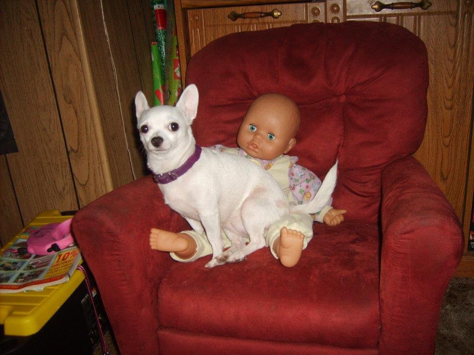 Ruby Pickens' album, jayla & ledeana & my dogs