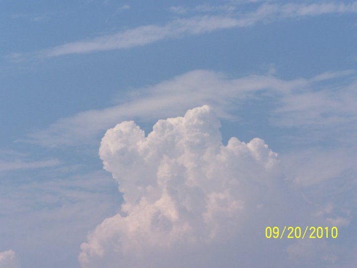 Ann Dick's album, Untitled Album