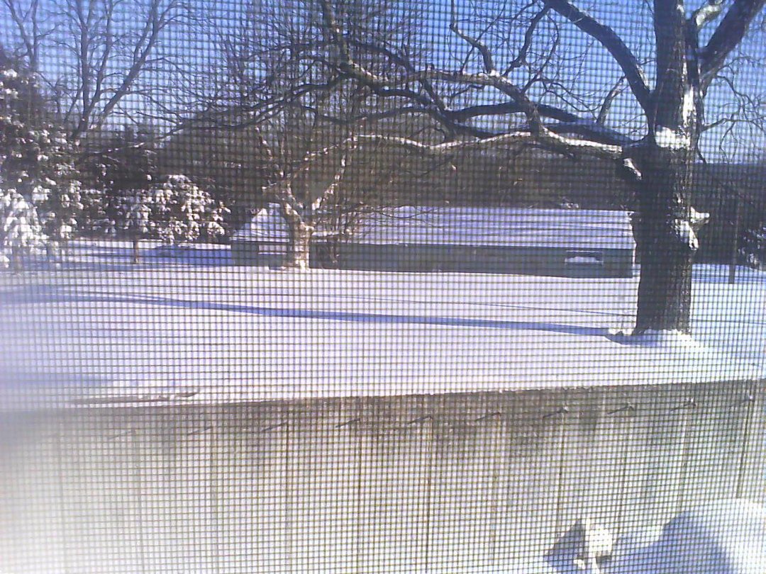 William Conner's album, February 2, 2011