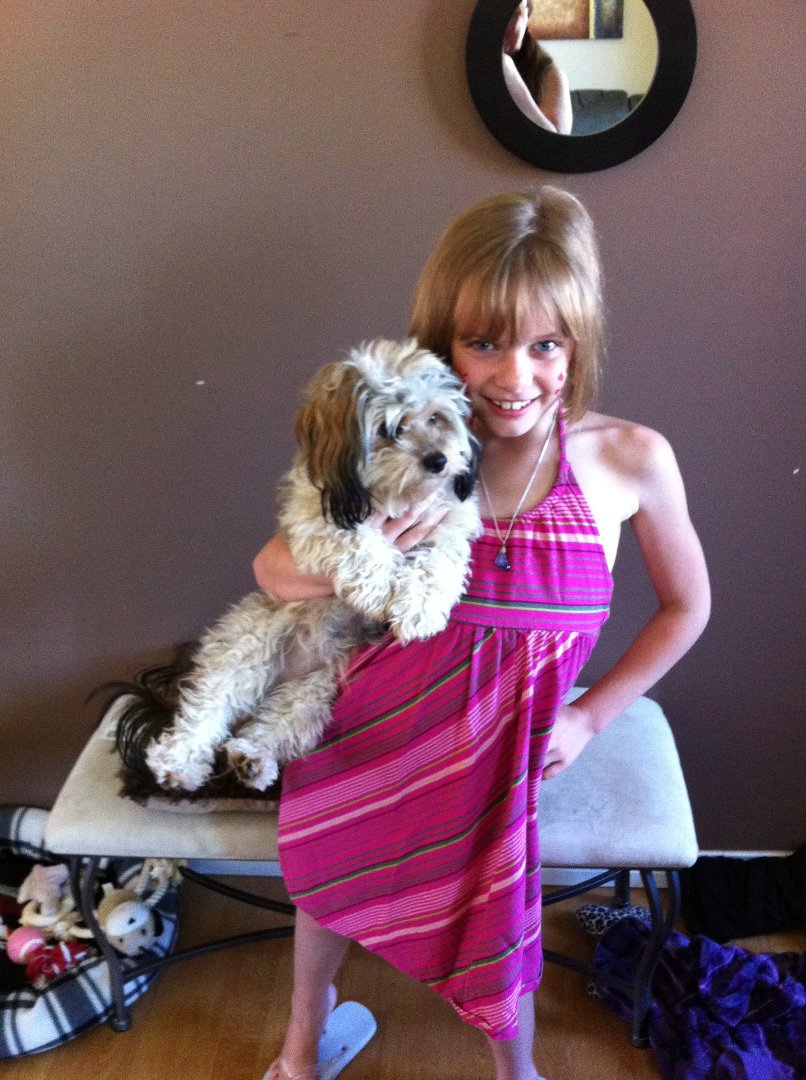 Lynn Harding's album, Mobile Uploads