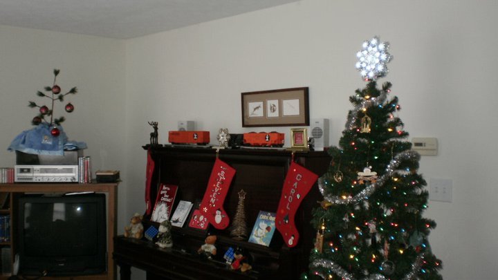 Steven Sudduth's album, December 25, 2010