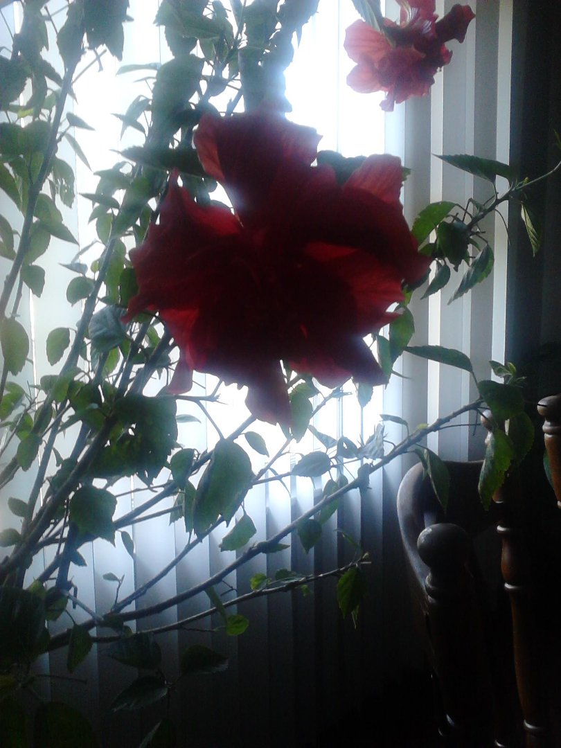 Jeff Kresno's album, Timeline Photos