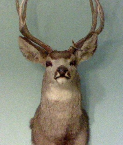 Brian Blagdon's album, Profile Pictures