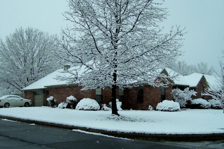 Anna Holley's album, Spring Snow 2010